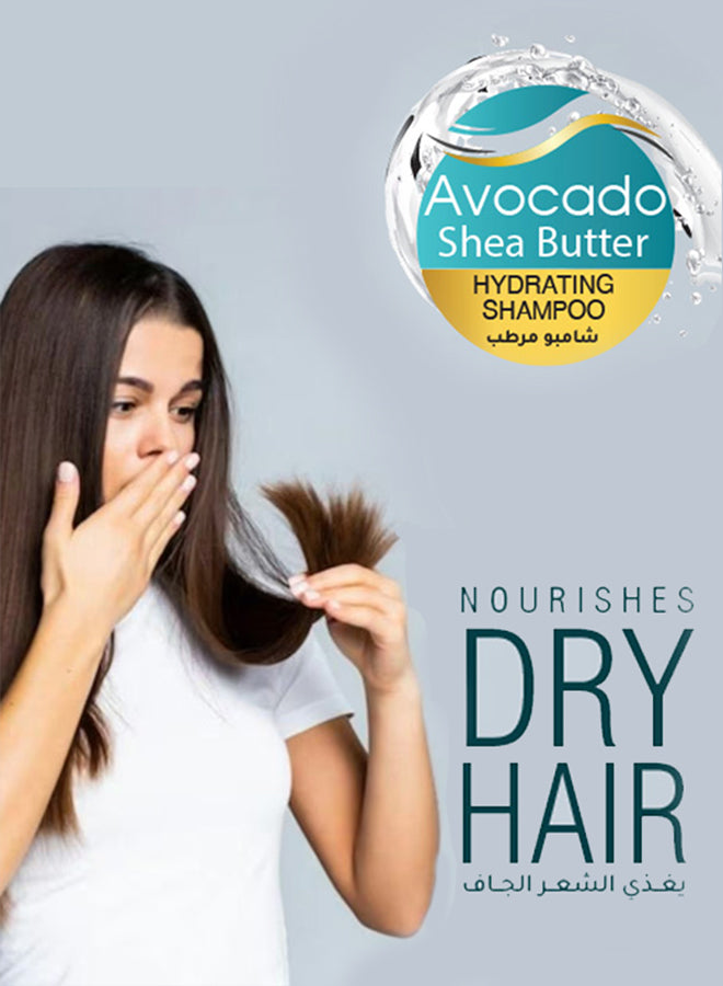 Dry Hair Avocado Shea Liza Premium Shampoo
