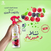 Liza Air Freshener - Berries 460ml