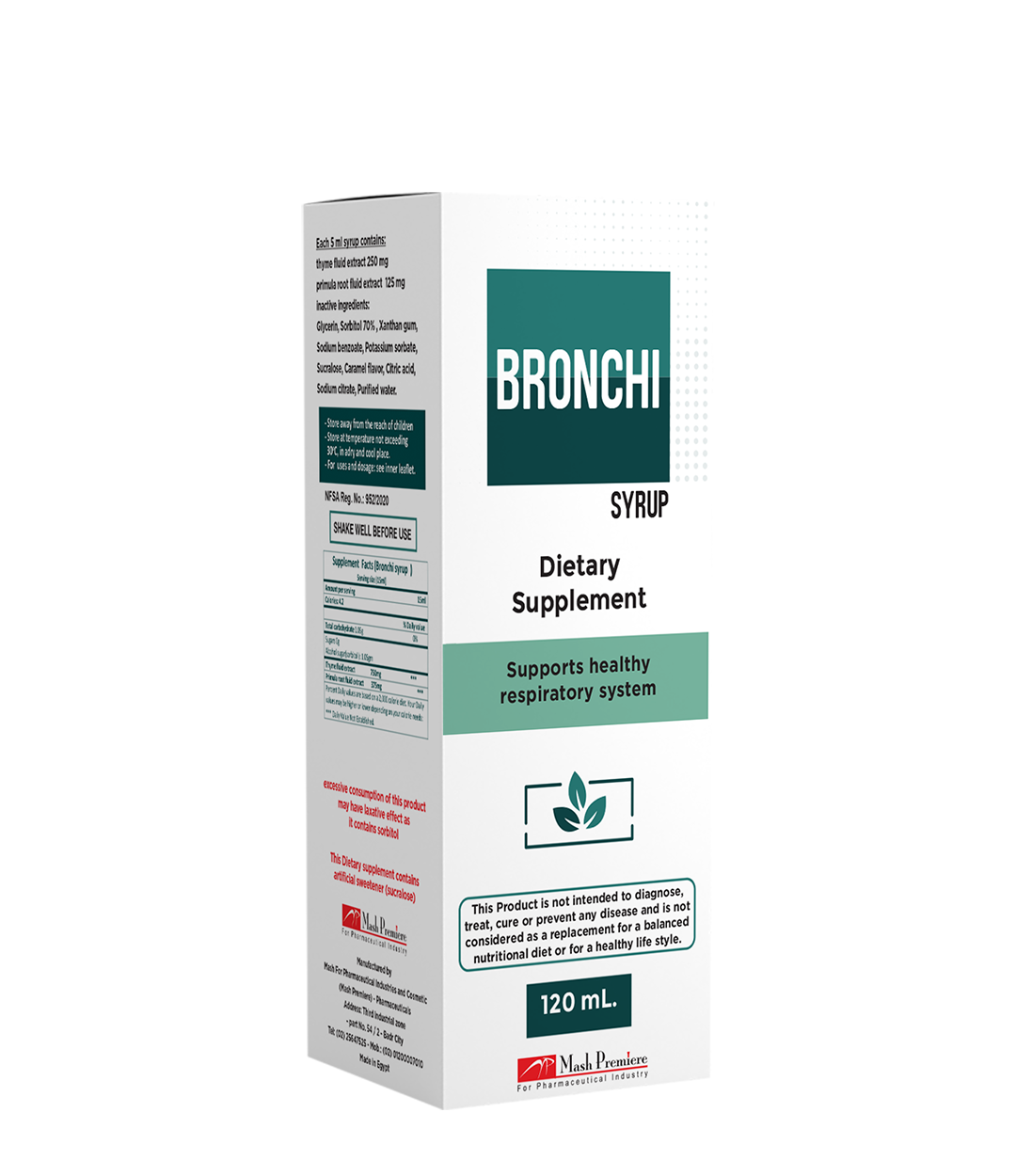 Bronchi.png