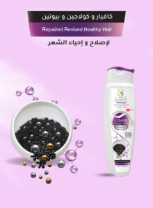 شامبو كافيار ليزا