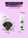 ChatGPT Image 1 أبريل 2026، 11_57_37 م